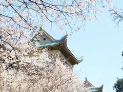 -武汉大学-樱园