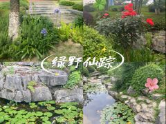 -铁山坪森林公园