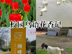 -杭州师范大学(下沙校区)