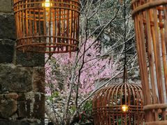 -MOJ coffee(瓯海泽雅水碓坑店)