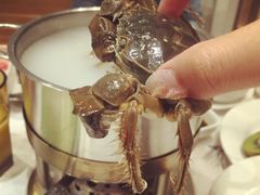 -星伦多自助料理(花山金鹰店)