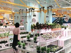 -KKV(深圳宏发大仟里店)