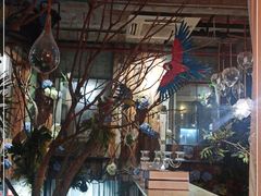 -范设计花园餐酒咖·中西餐·咖啡厅·酒馆
