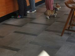 -星巴克(成都科学城店)