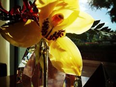 iphone_upload_pic-北京盘古七星酒店