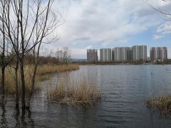 -永定河休闲森林公园