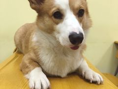 -韩通韩国语学院(虹口校区)