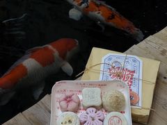 -御茶膳房皇家糕点博物馆(北京首店)