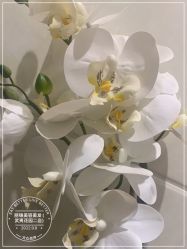 -LJOY丽锦造型·烫发染发