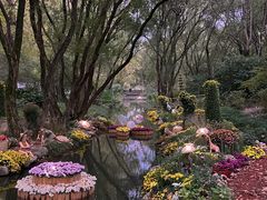 -上海共青森林公园