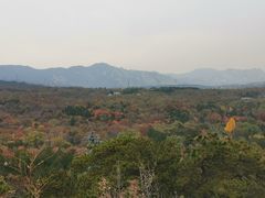 -北京鹫峰国家森林公园