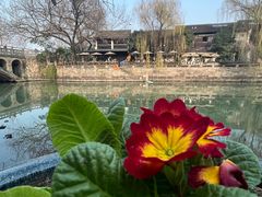 -小河直街历史文化街区