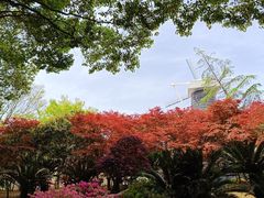 -上海鲜花港