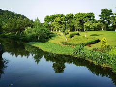 -绍兴镜湖国家城市湿地公园