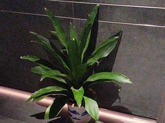 -天禧影院式足道·SPA(梅林店)