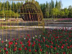 -长春公园(普阳街道)