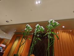 -上海明天广场JW万豪酒店