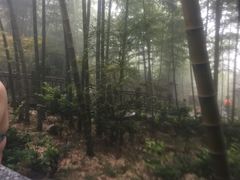 -江南天池高山汤泉城