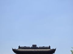 -洋湖国家湿地公园