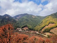 -四明山国家森林公园