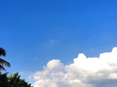-深圳湾公园(南山区)