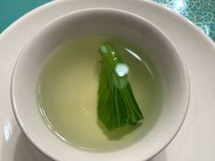 -松云泽