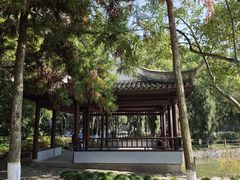 -瀛洲公园