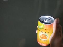 -河源客天下-温泉小镇