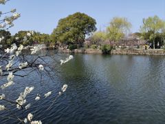 -无锡蠡湖国家湿地公园-蠡园