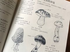 -蓝壁虎咖啡酒馆