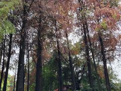 -晓港公园