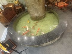 -古莲·影院足道·按摩SPA(水上温泉店)