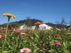 -西海岸生态观光园