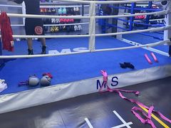 -M.S拳击泰拳馆(大学路店)