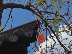 -五台山风景区