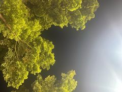 -霖公馆SPA·足道(普善路店)