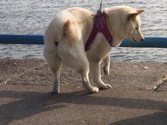 -来之顺海鲜菜馆·青岛菜·始于1993(栈桥店)