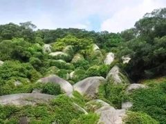 -仙岳公园