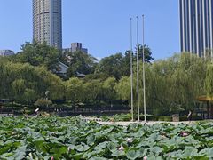 -瑞诗酒店-西餐厅