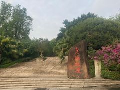 -艾坪山公园