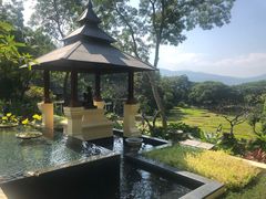 -四季酒店下午茶