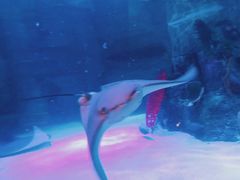 -沈阳海洋探索中心