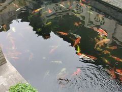 -顺德了能馆(虎门店)