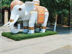 -永定河休闲森林公园