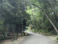 -凤栖山