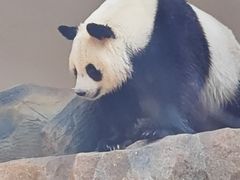 -宁波野生动物园