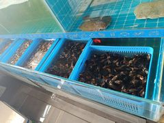 -三宽猪蹄(咸阳店)