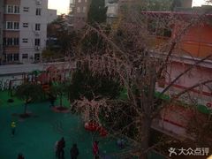 -北京林业大学幼儿园