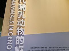 -国家自然博物馆