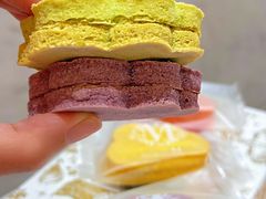 -Lady M(沙田新城市广场店)